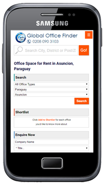 Mobile Website 3